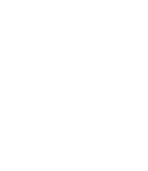 4 (Demo)